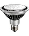 LED